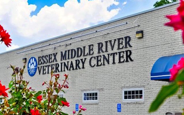 Best Vet Near Essex - Essex Middle River Veterinary Center