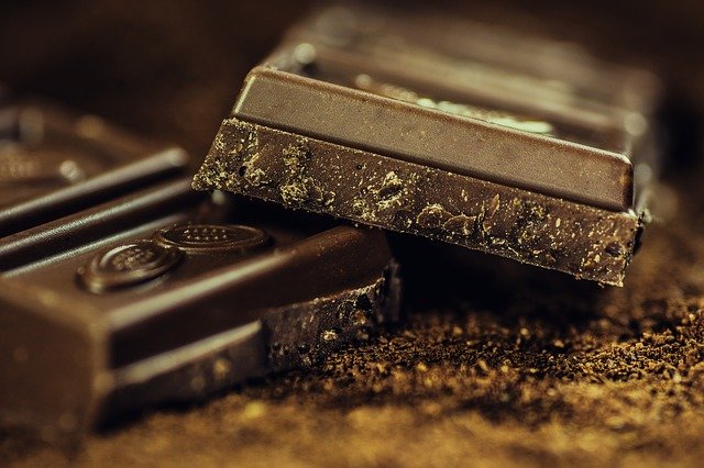 Chocolate contains chemicals that are very dangerous for dogs.